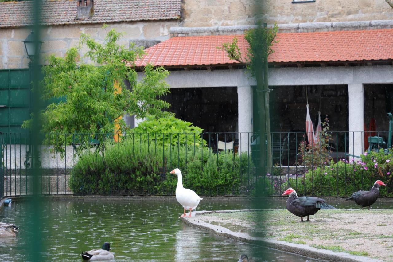 Quinta Dos Patos Villa Pinhanços Exterior foto